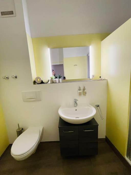 Fewo 20 - Appartement Im Rottalblick - Youngmodern Wohnen Mit Bademantelgang Zur Therme, Tv, Balkon Und Persoenlichem Gaesteempfang Von Astarte Estate Bad Griesbach  Exterior photo